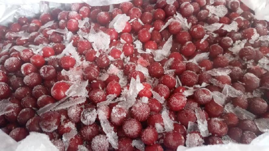 انجماد میوه - میوه سردخانه - تامین میوه برای شرکت های صنایع غذایی در ساری